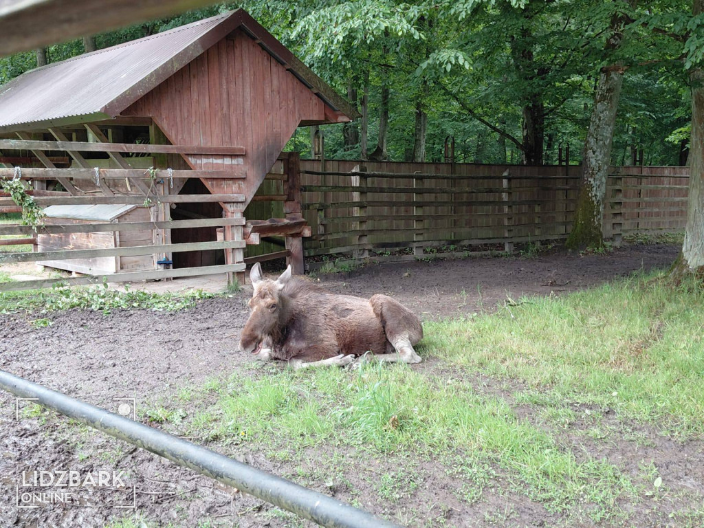 UTW Lidzbark na Podlasiu
