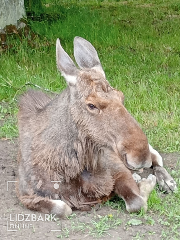 UTW Lidzbark na Podlasiu