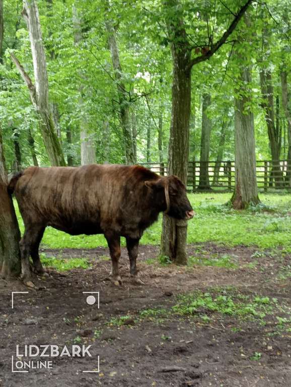 UTW Lidzbark na Podlasiu