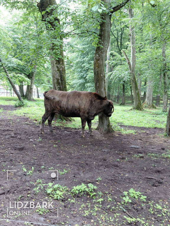 UTW Lidzbark na Podlasiu