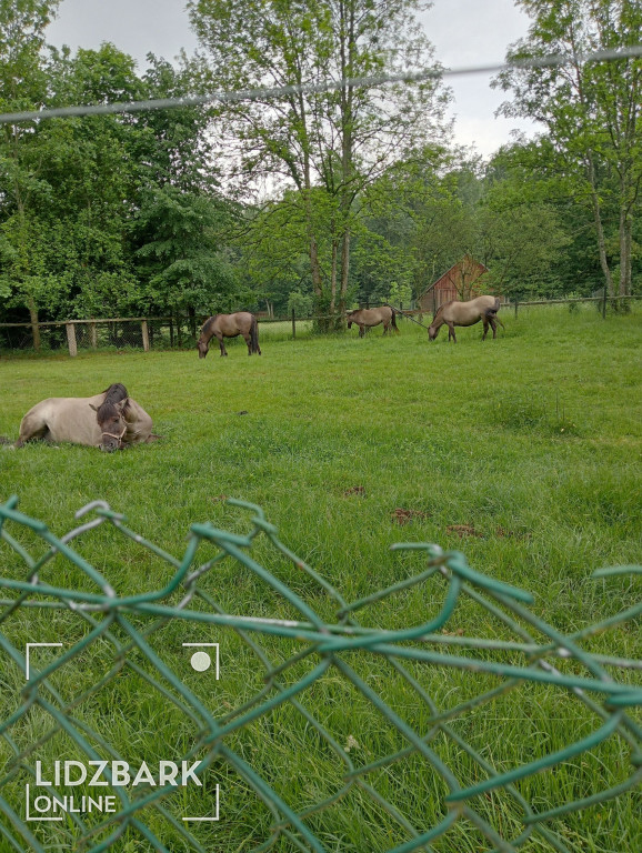 UTW Lidzbark na Podlasiu