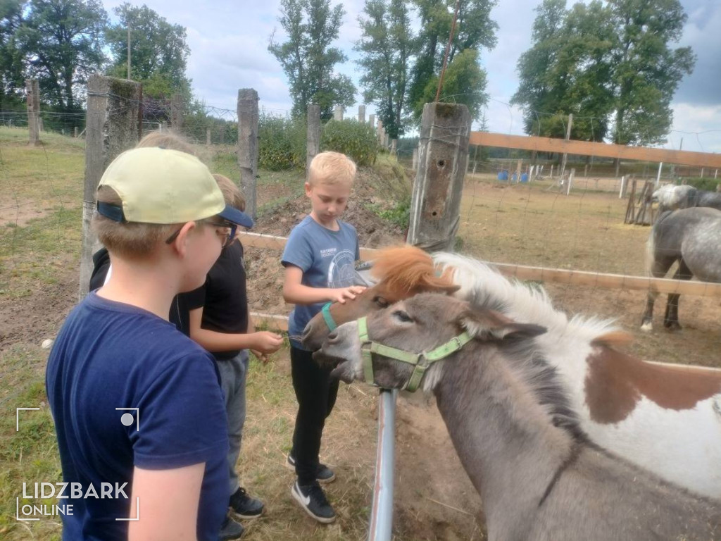 Klasa 3 z Bryńska na wycieczce na Farmie Noego