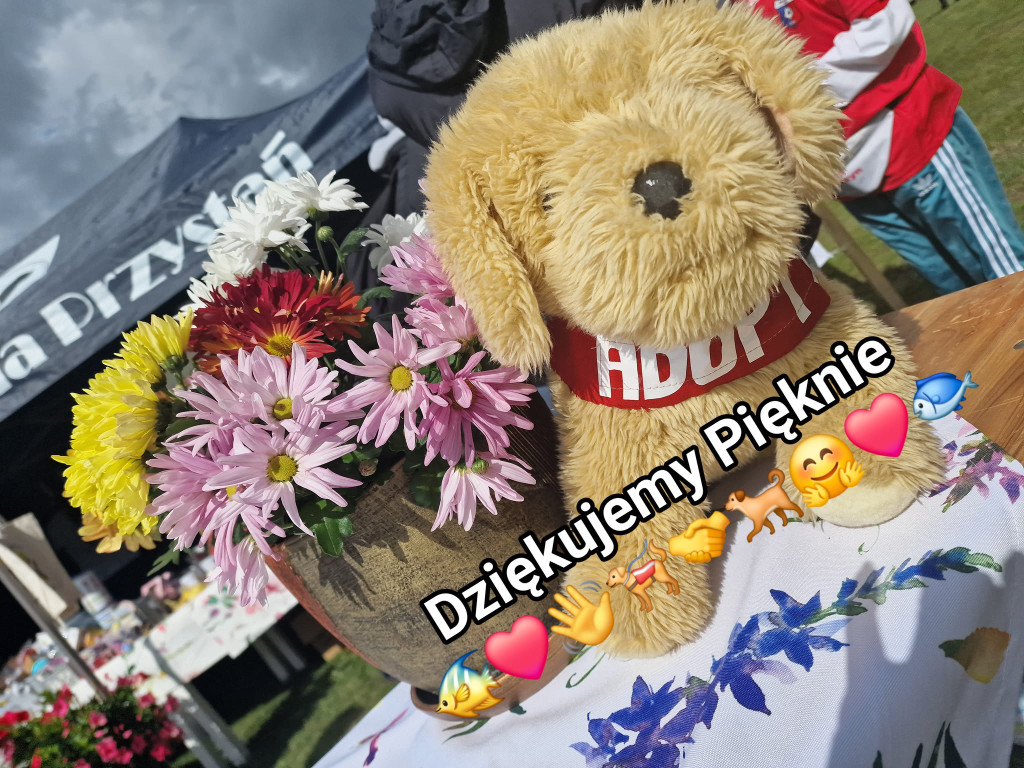 Psia Przystań - Festiwalu Swojskich Potraw Rybnych