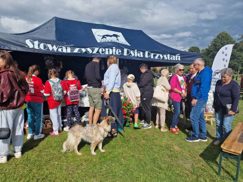 Psia Przystań - Festiwalu Swojskich Potraw Rybnych