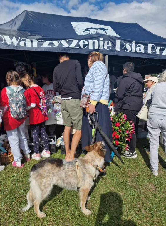 Psia Przystań - Festiwalu Swojskich Potraw Rybnych