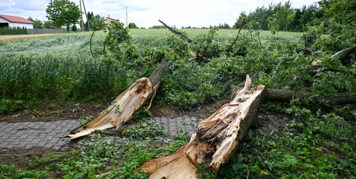 Połamane drzewa po burzy – uszkodzone konary leżą na ścieżce i polu. Skutki silnego wiatru i interwencje straży po niedzielnym froncie burzowym.