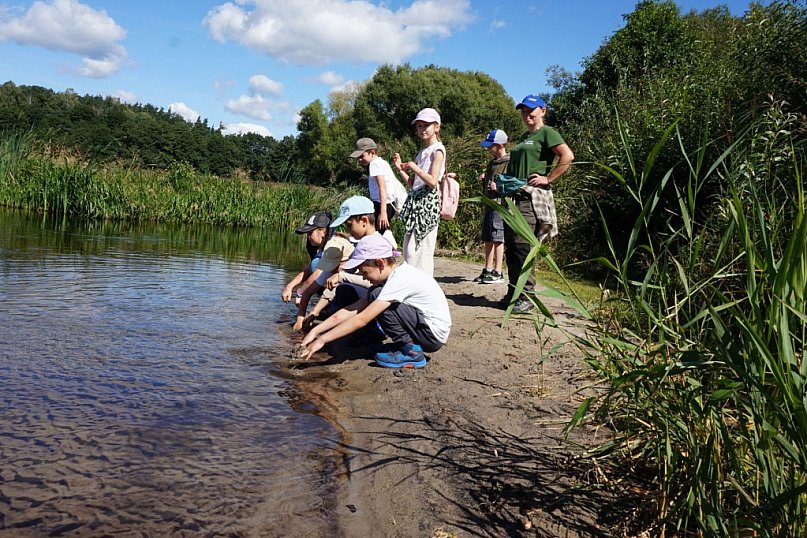 Zielone lofrowanie z WPK