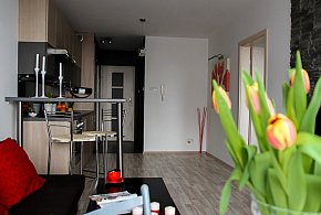 Rewolucja w wynajmie na doby. Nadchodzi koniec "wolnej amerykanki"-1567