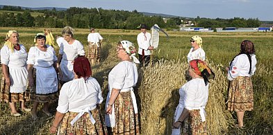 Żniwa kiedyś-918