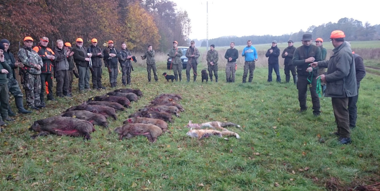 Polowanie zbiorowe w gminie Lidzbark. Zachowaj ostrożność